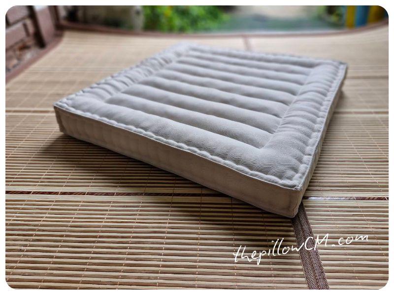 240725 cushion pad 02