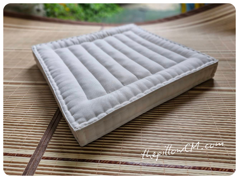 240725 cushion pad 03