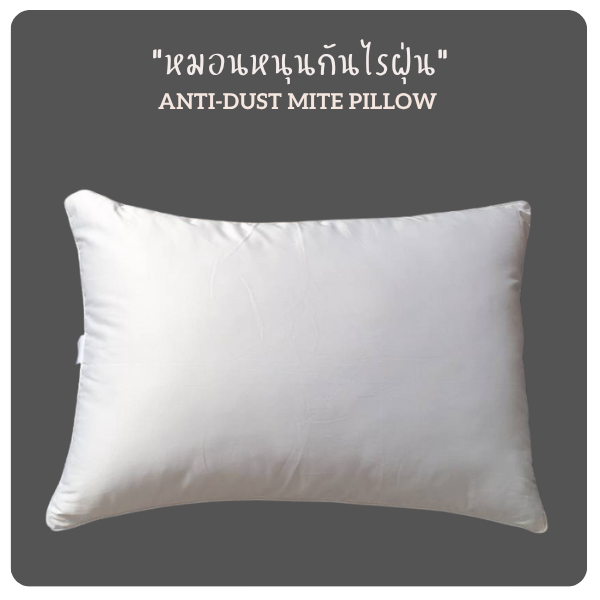 anti dust mite pillow. 02