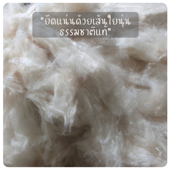 หมอนนุ่นกันไรฝุ่น