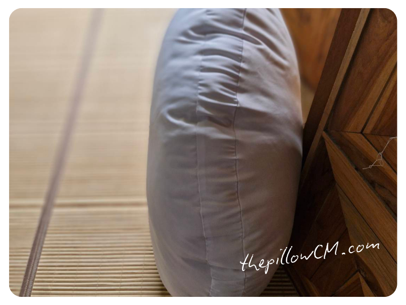 150825 pet mattress 04 12 เบาะนอนสัตว์เลี้ยง