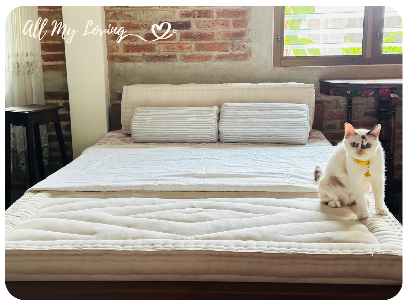 allmyloving 04 22 เบาะนอนสัตว์เลี้ยง