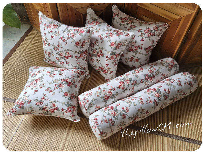 070925 throw pillow 08