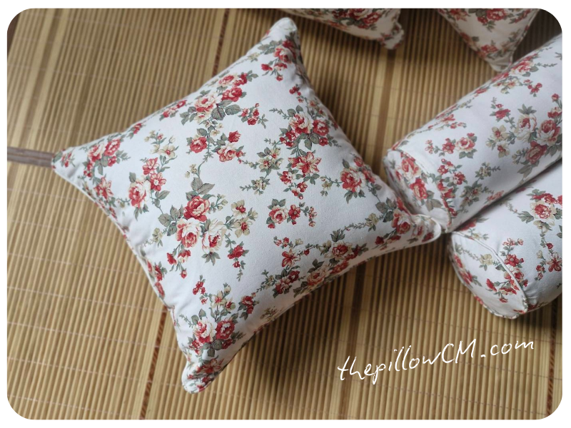 070925 throw pillow 09