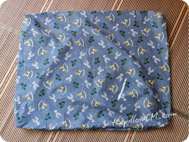 160925 pet cushion case 04