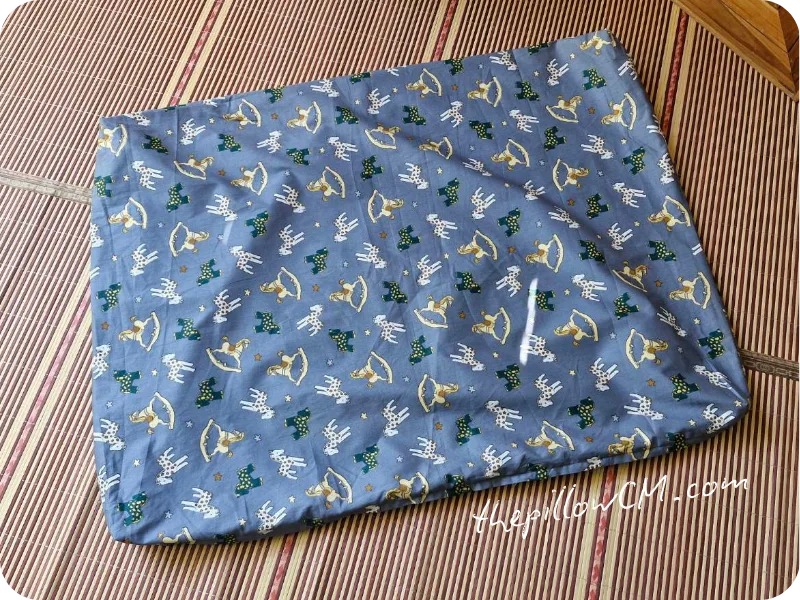160925 pet cushion case 05