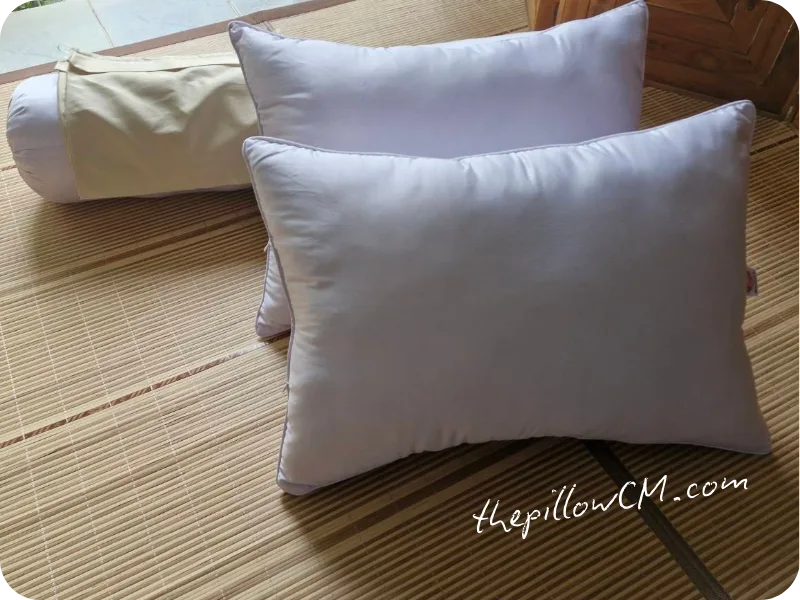 160925 pillow 02 2 หมอนนุ่นกันไรฝุ่น