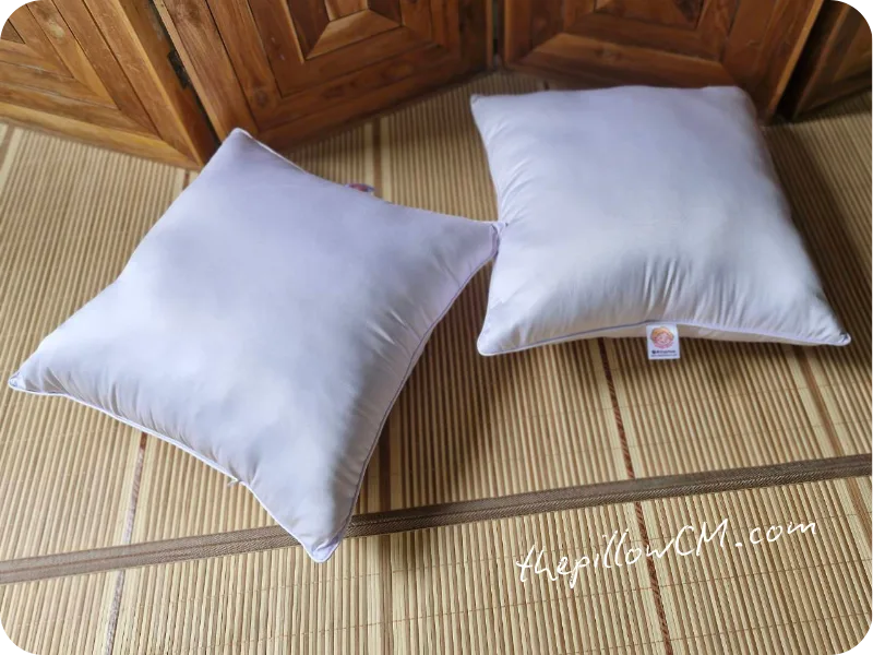 160925 throw pillow 02 2 หมอนอิง