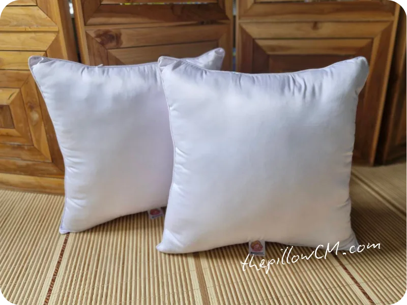 160925 throw pillow 03 3 หมอนอิง