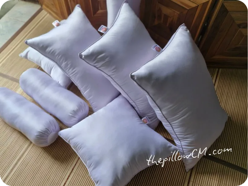 160925 throw pillow 05 8 หมอนอิง