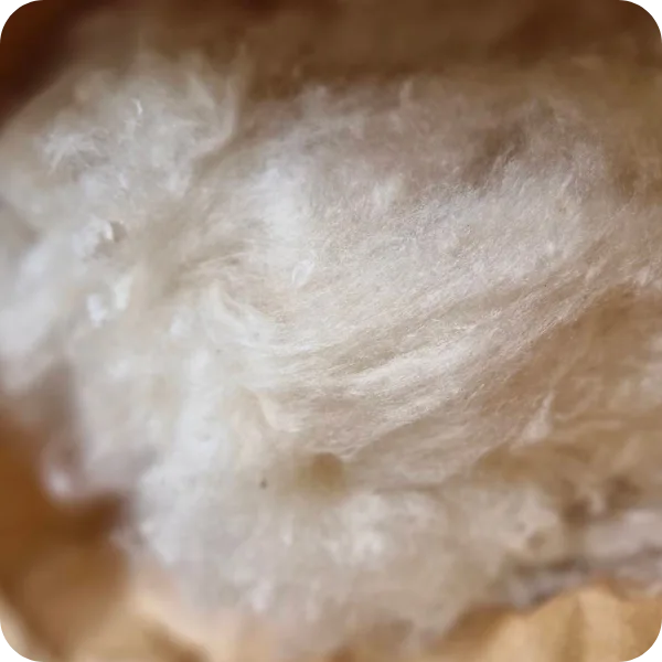Kapok natural fiber — Granny's Pillows