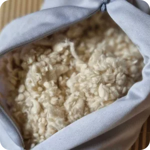 190925 kapok 3 2 190925 kapok 3