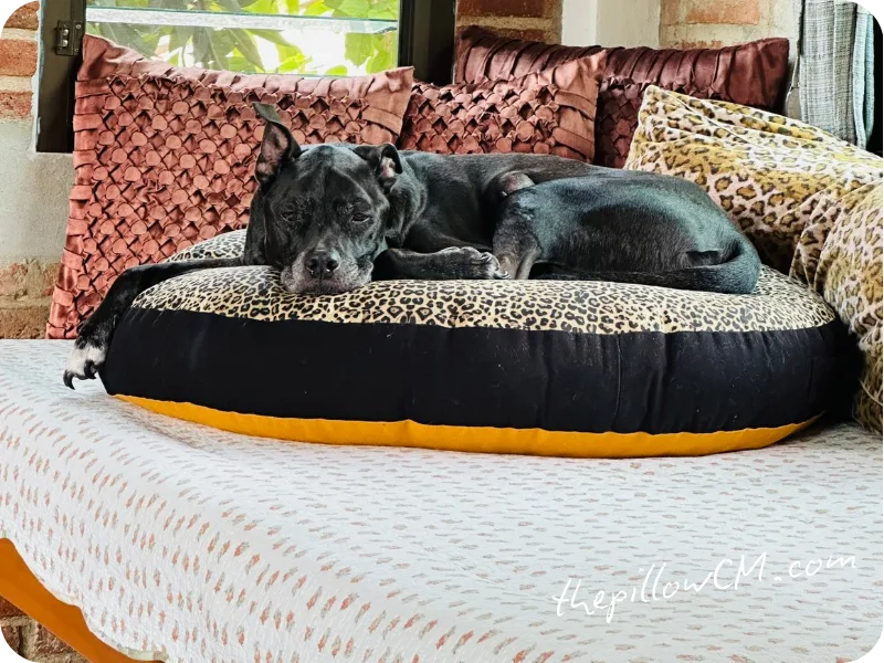 300925 customer review 03 8 300925 customer review 03