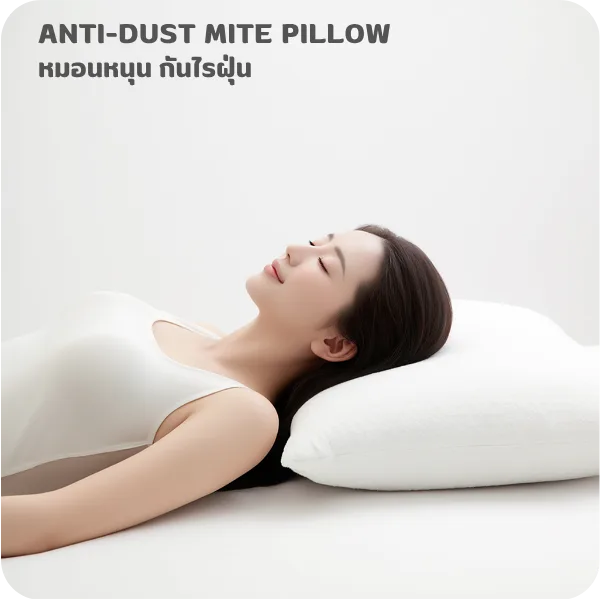 021025 antidustmitepilllow 01 15 021025 antidustmitepilllow 01