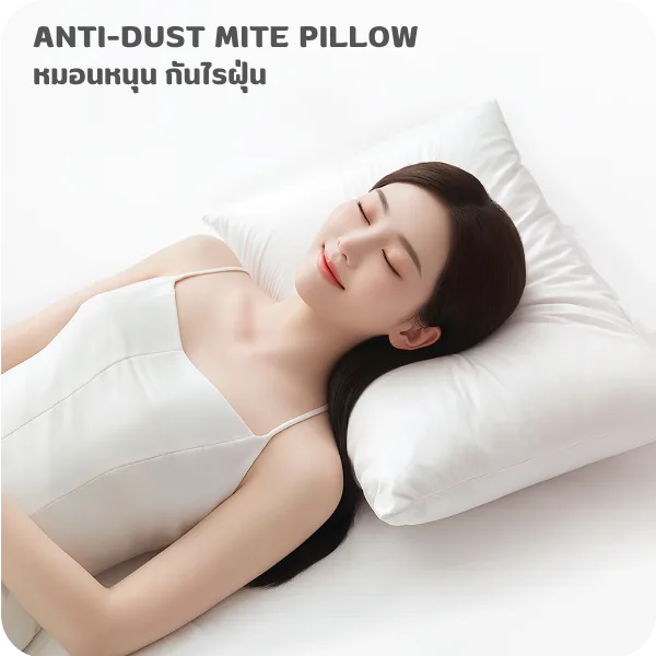 021025 antidustmitepilllow 02 14 021025 antidustmitepilllow 02