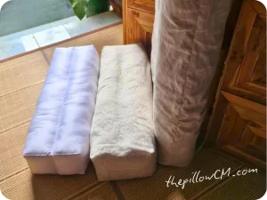 191025 longpillow 02