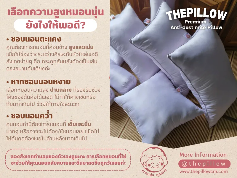 selected pillow 42 หมอนนุ่นกันไรฝุ่น