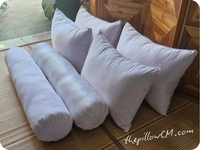 041125 pillow 02 25 041125 pillow 02