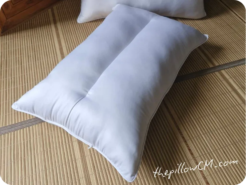 041125 pillow 07 6 041125 pillow 07