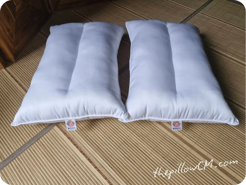 041125 pillow 09 5 041125 pillow 09