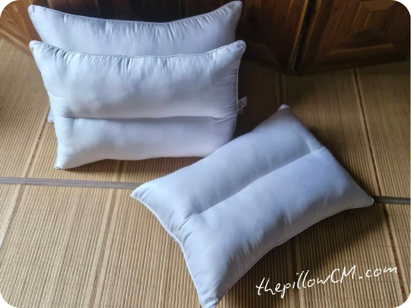 041125 pillow 11 7 041125 pillow 11
