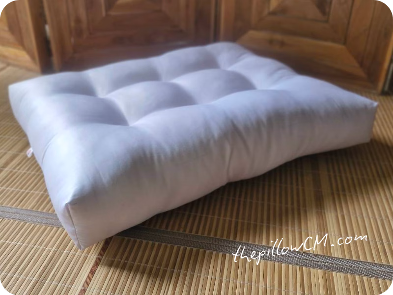 060626 pet bed 3 21 เบาะนอนนุ่มสำหรับแมว วางข้างหน้าต่างหรือมุมโปรด รับรองเจ้านายไม่ไปไหนเลยทั้งวัน