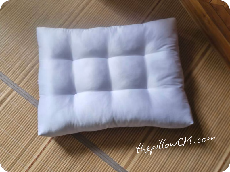 060626 pet bed 5 23 เบาะนอนน้องแมว ยัดด้วยนุ่นธรรมชาติ น้องแมวชอบมาก