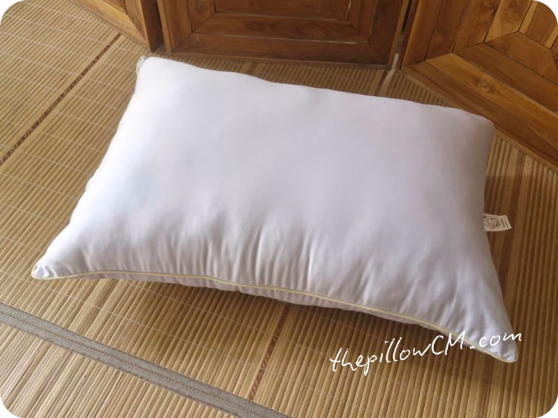 ไส้หมอน Pillow Insert