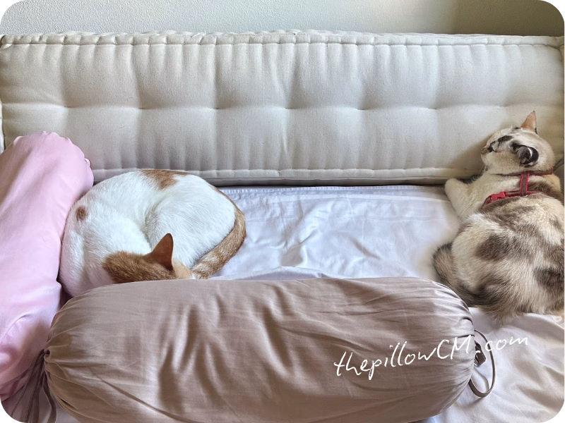 เบาะนอนแมว ยัดนุ่น Plant Fiber — Granny's Pillows