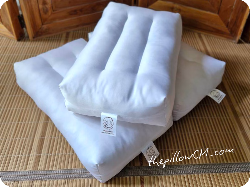 Body Support Pillow หมอนยัดนุ่นธรรมชาติสำหรับรองรับร่างกายหลายตำแหน่ง เหมาะกับการนั่งพัก อ่านหนังสือ และดูหนัง
