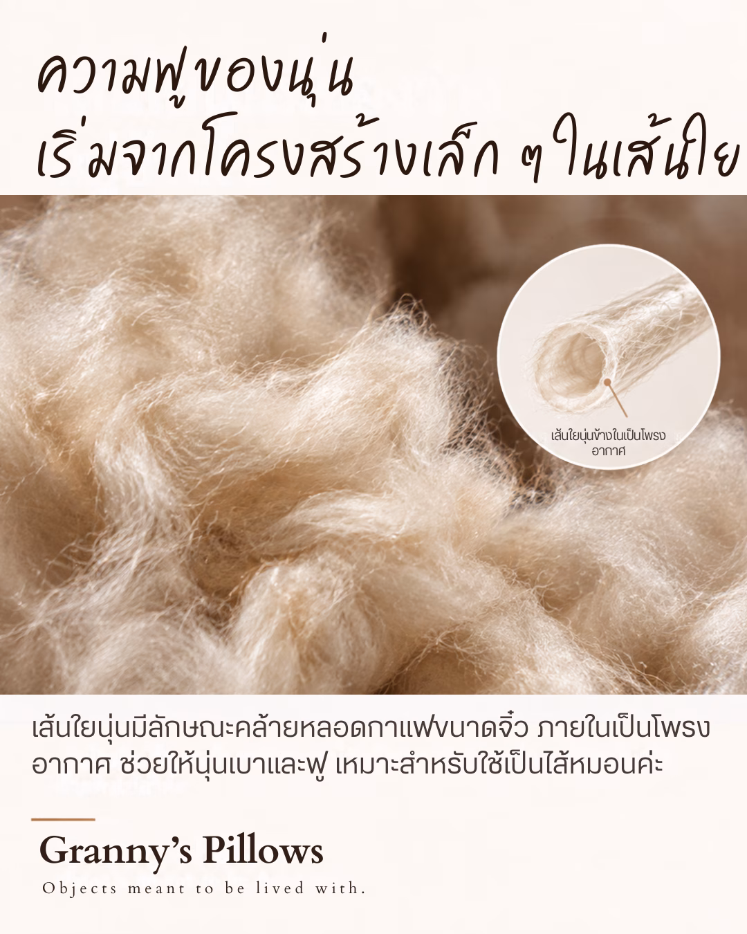 151026 plant fiber 6 ปุยนุ่นทั่วไปที่เราเห็นกัน จะเป็นเส้นใยสีครีมอ่อนๆ รวมกันเป็นก้อนฟู ๆ ดูคล้ายสำลีค่ะ แต่ถ้ามองเข้าไปถึงโครงสร้างของเส้นใยแต่ละเส้น จะพบว่าด้านในมีโพรงเล็ก ๆ ลักษณะคล้ายหลอดกาแฟจิ๋ว