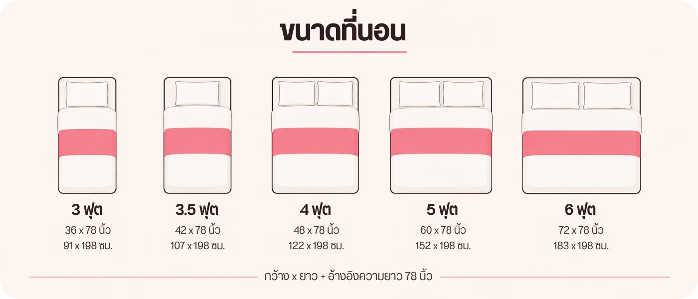 ภาพประกอบขนาดเตียงมาตรฐานสำหรับเทียบก่อนเลือกผ้าปูที่นอน